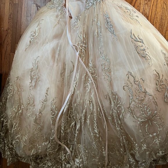 Prom Gown, Quinceañera Gown, Wedding Gown, Cosplay Gown or Ball Gown - Picture 3 of 14